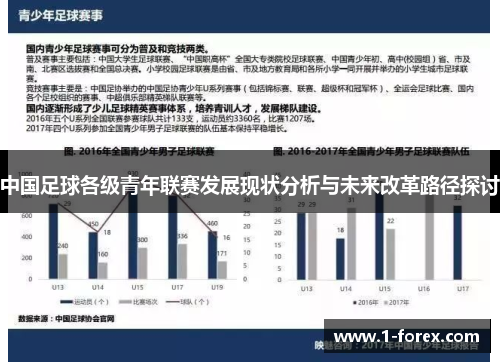 中国足球各级青年联赛发展现状分析与未来改革路径探讨