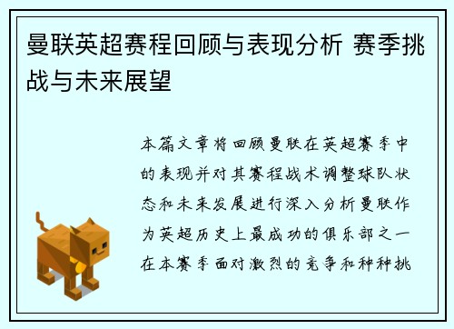 曼联英超赛程回顾与表现分析 赛季挑战与未来展望