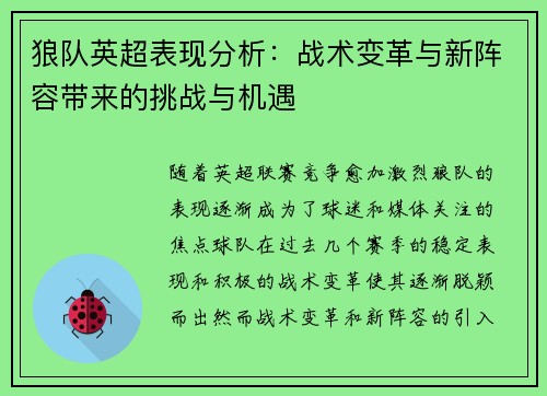 狼队英超表现分析：战术变革与新阵容带来的挑战与机遇